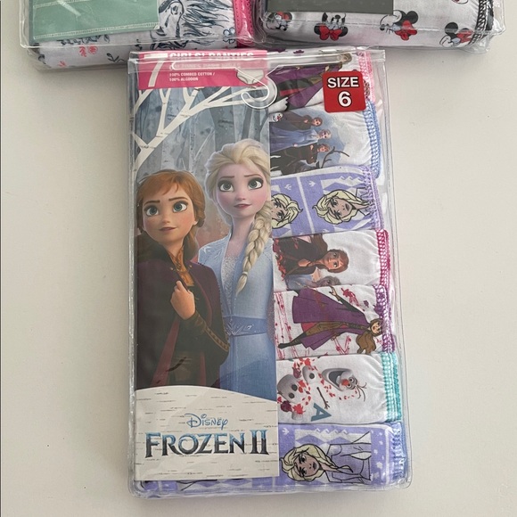 NEW Bundle / lot of Girls' Briefs Set with Frozen, Minnie Mouse, and Spirit - Picture 4 of 5